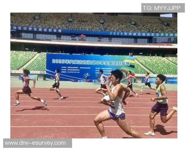 竞技体育的魅力与激情探索 激发拼搏精神与团队协作的无限可能