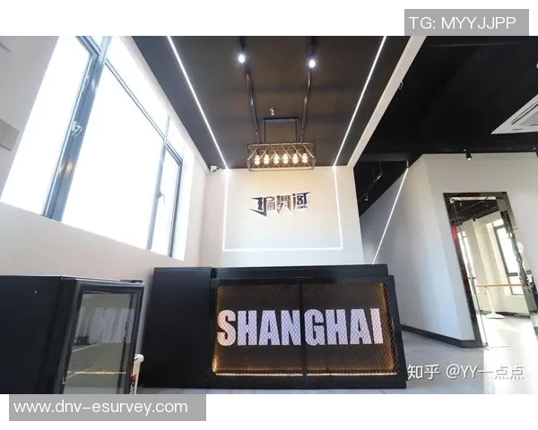 上海街舞队配合技巧深度对比与分析展现团队默契与风格差异