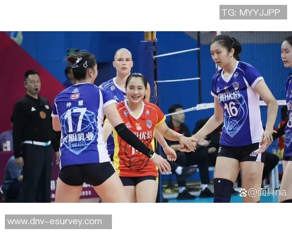 上海排球队实力飙升再创佳绩引发全国关注与热议