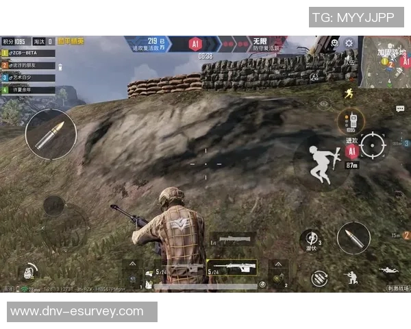 和平精英战术解析：BLG区域防守体系的构建与应用策略