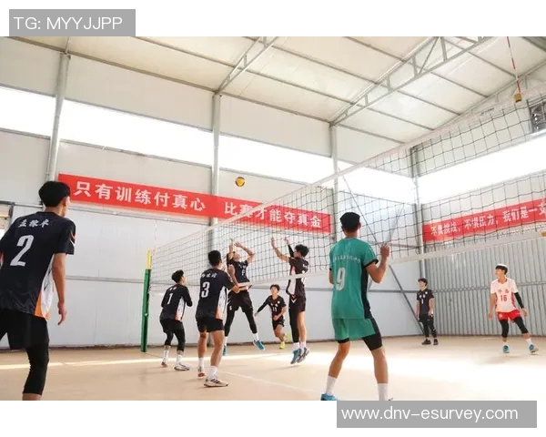 杭州排球队快攻战术解析与深度剖析排球竞技的魅力与挑战