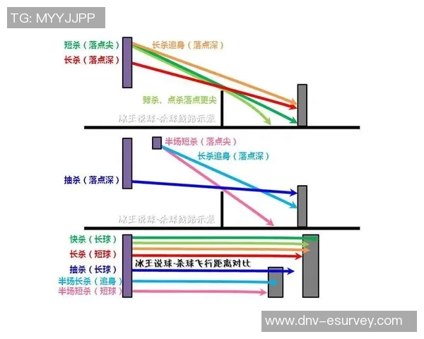 南京篮球队的节奏探讨与发展：聚焦球队风格与战术演变
