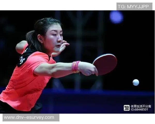 广州排球队快攻战术解析与发展趋势探讨