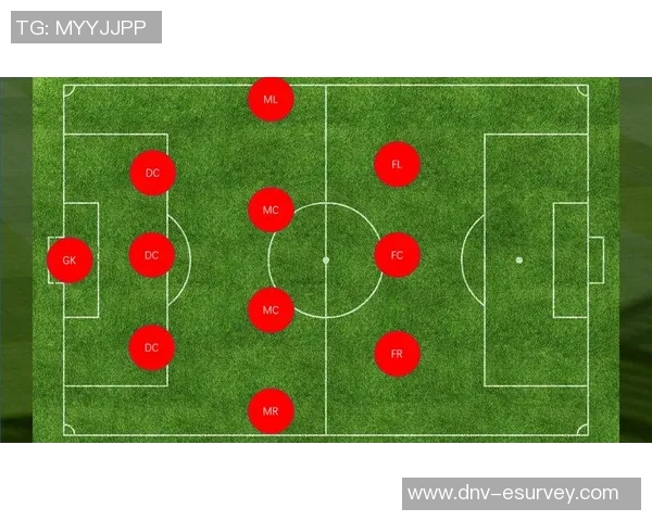 成都极限运动队防守策略分析及其在比赛中的成效评估