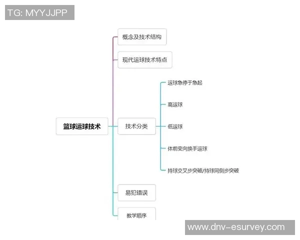 篮球新手必看：快速掌握基本技巧与战术的全面指南