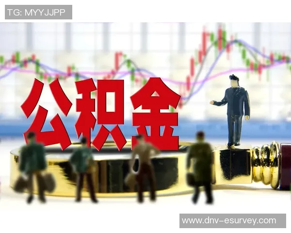 成都飞盘队灵活性变革引发热议探索新战术与团队协作的未来发展