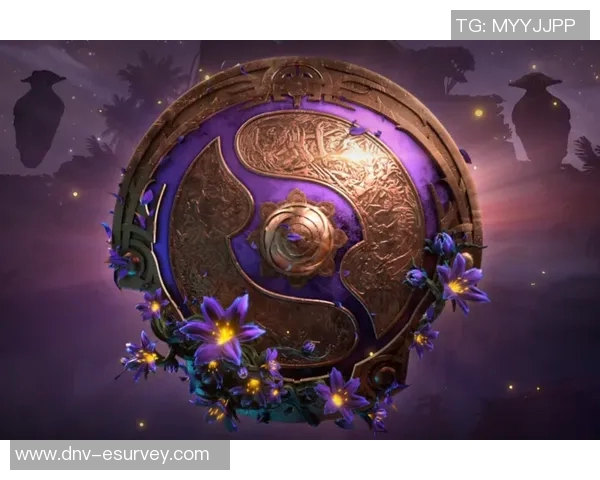 DOTA2深度解析LNG战队运营策略与成功之道揭秘