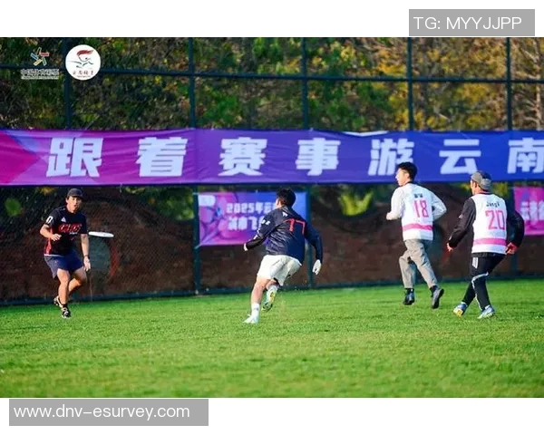 南京飞盘队耐力之争引发热议赛场背后的坚持与挑战