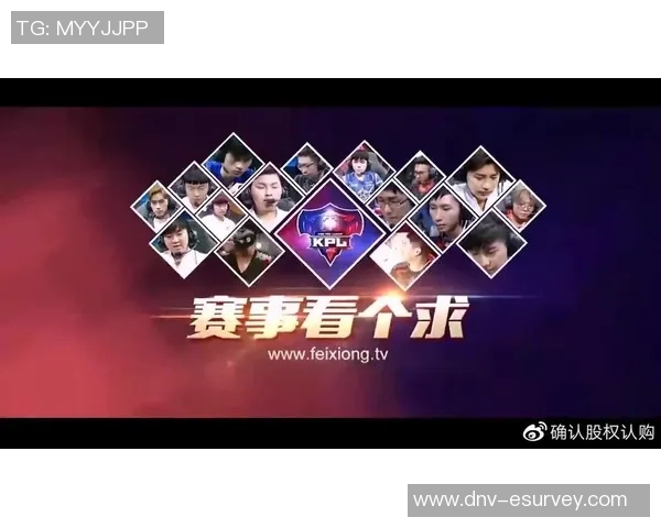 RNG在王者荣耀中的运营策略分析与成败得失探讨