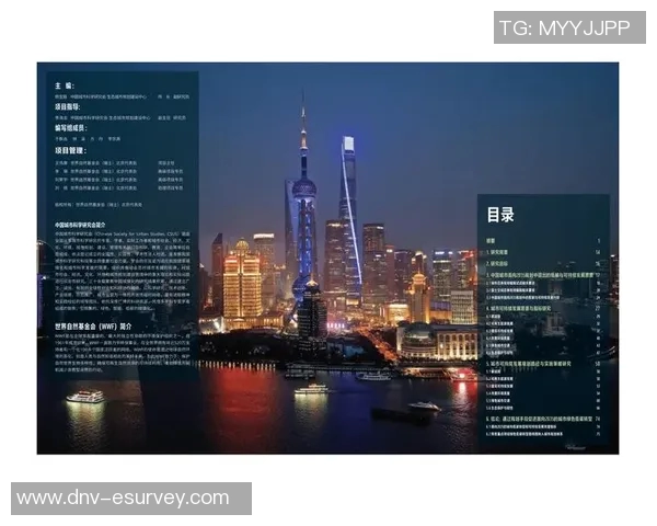 重庆网球队的控制策略与发展现状深度解析 重庆网球队的控制策略与发展现状深度解析