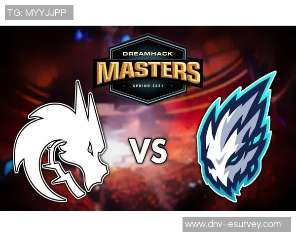 BLG在CSGO比赛中的盯防策略分析与成败得失探讨